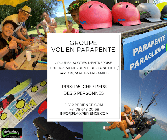 Vol en groupe / entreprise
