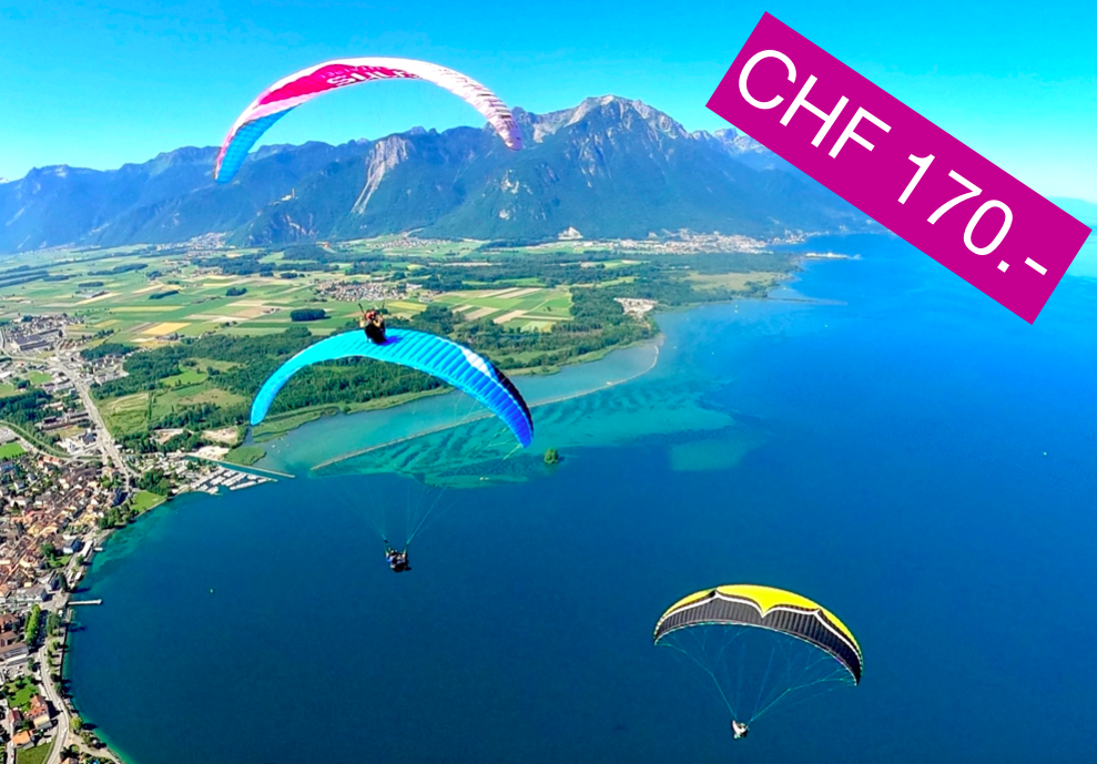 Un groupe qui fait du parapente biplace au-dessus du lac Léman